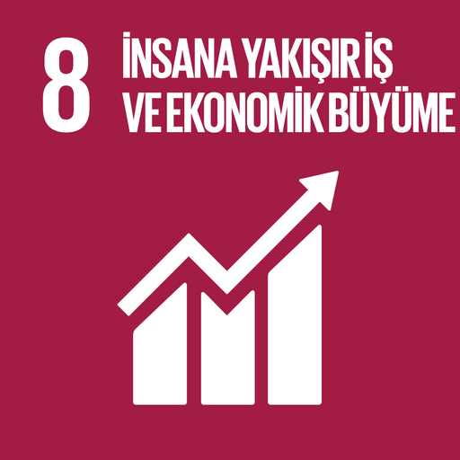 Sürdürülebilir Kalkınma Amacı 8: İnsana Yakışır İş ve Ekonomik Büyüme