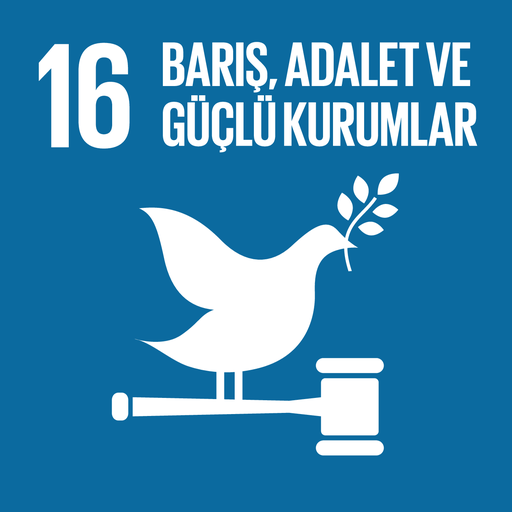 Sürdürülebilir Kalkınma Amacı 16: Barış, Adalet ve Güçlü Kurumlar
